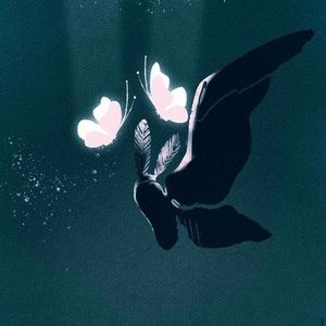 Meet your Posher, Ky